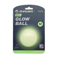 Skipdawg Neon Glow Ball for Dogs