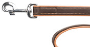 Trixie Active Comfort Leather Leash for Dogs Brown/Light Brown