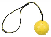Trixie Ball on a Natural Rubber Belt Dog Toy