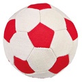 Trixie Canvas Soft Soccer Toy Ball