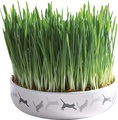 Trixie Ceramic Bowl with Cat Grass