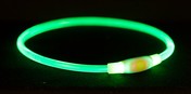 Trixie USB Flash Light Plastic Ring Dog Green