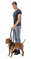 Trixie Walking Aid for Dogs Black