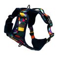 Twiggy Tags Harness for Dogs Aurora