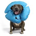 VetOne Air-O Collar for Dogs
