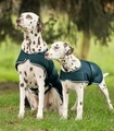 Waldhausen Dog Waterproof Dog Raincoat Green