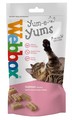 Webbox Yum-E-Yum Salmon Cat Treats