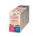 Wellness Core Signature Selects Fish Flaked Wet Cat Food