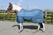 Whitaker Stable Rug Lupin 200gm Teal