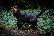 Whitaker Sydney Reflective Black Camo Dog Coat