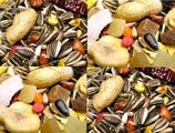 Willsbridge Parrot Mixes Bird Food