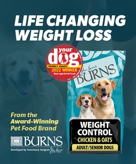 Burns - Weight loss