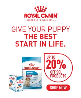 Royal Canin May A HP Sub 1st
