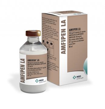 Amfipen LA 100mg/ml Antibiotic Injection