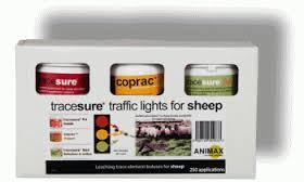 Animax Tracesure Traffic Lights for Sheep