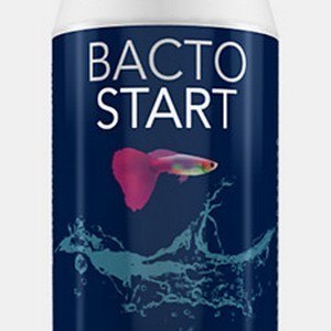 Colombo Aqua Bacto Start