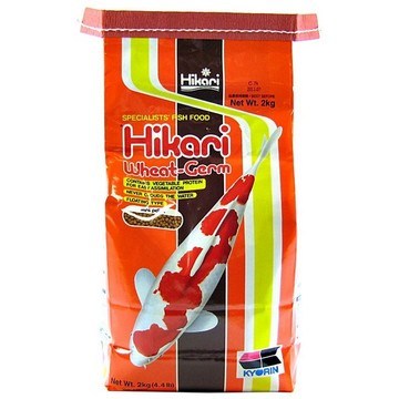 Hikari Wheat-Germ Formula Fish Food