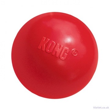 KONG Ball with Hole Dog Toy
