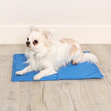Pet Brands Cooling Mat for Dogs