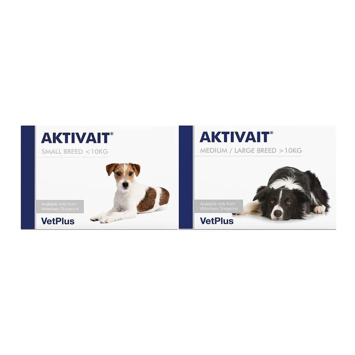 Aktivait for Dogs & Cats