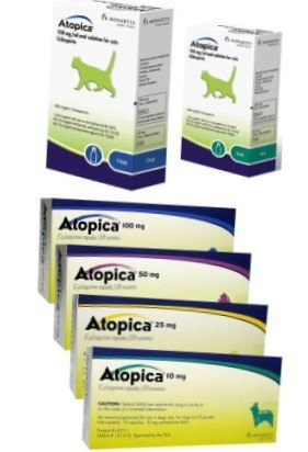 Atopica for Dogs & Cats
