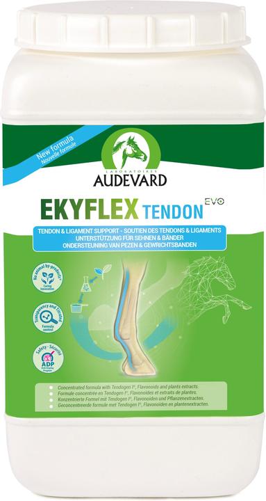 Audevard Ekyflex Tendon EVO for Horses