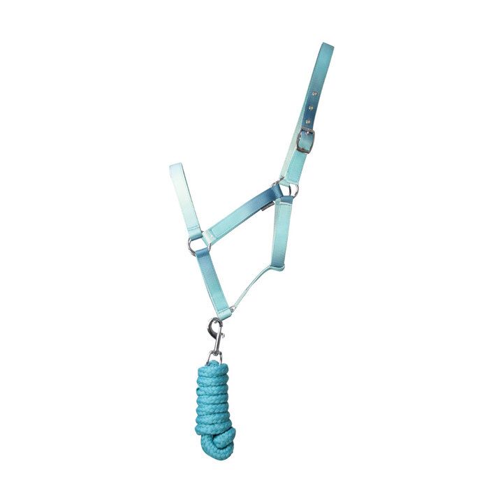 Hy Equestrian Ombre Teal Head Collar & Lead Rope