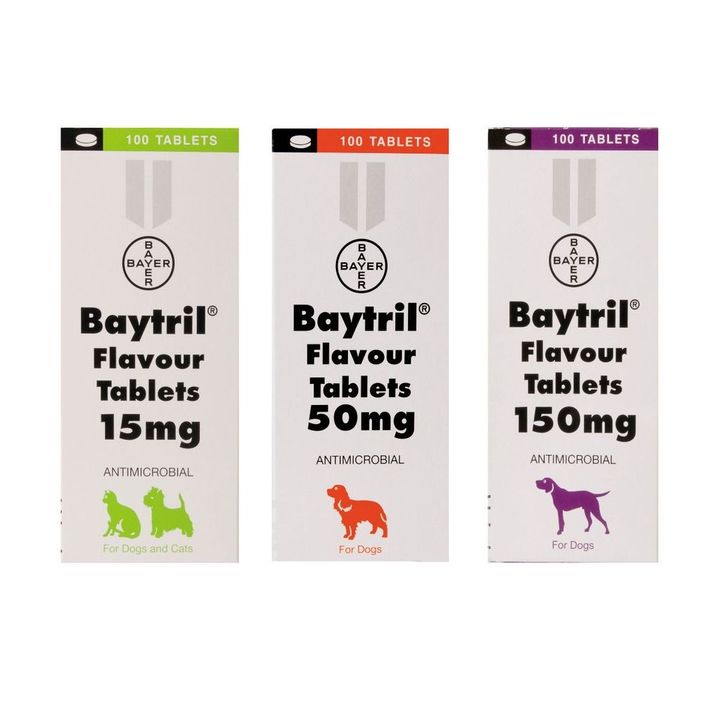 Baytril Flavoured Anti-Biotic Tablets