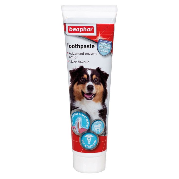 Beaphar Toothpaste For Cats & Dogs