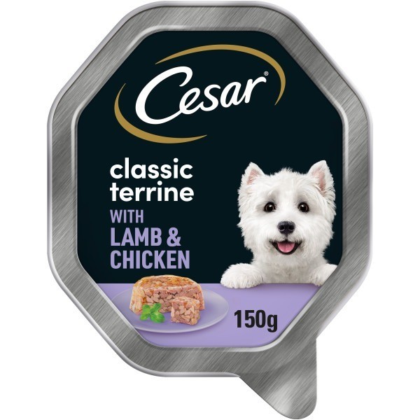 Cesar Classic Terrine with Juicy Lamb and Chicken in Jelly Dog Food