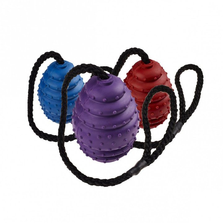 Classic Rubber Oval Rope Dog Toy