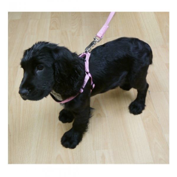 Classic Soft Protection Harness for Dogs