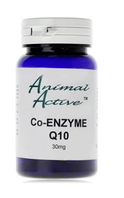 CO Enzyme Q10