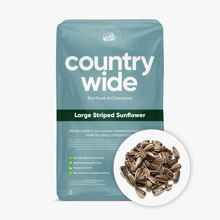 Countrywide Striped Sunflower Seed