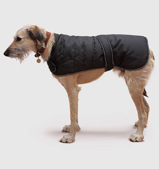Danish Design Harness Dog Coat