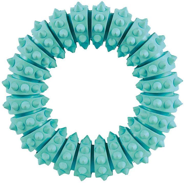Denta Fun Ring Mint Flavour Natural Rubber Dog Toy