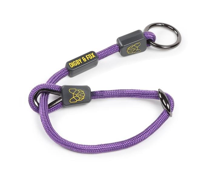Digby & Fox Pro Slip Dog Collar Purple