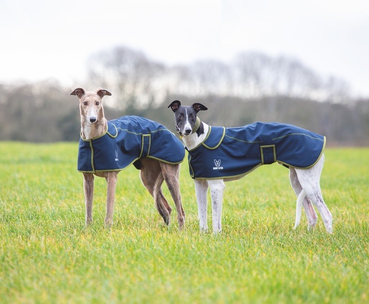 Digby & Fox Softshell Greyhound Coat Navy