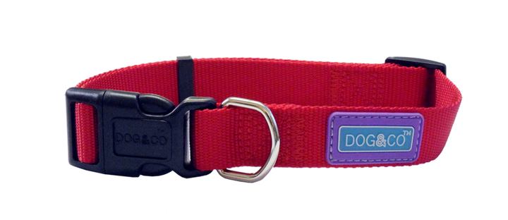 Dog & Co Adjustable Dog Collar