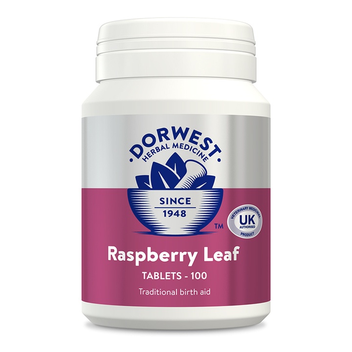 Dorwest Raspberry Leaf Tablets