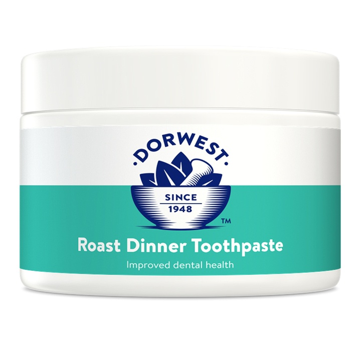 Dorwest Roast Dinner Flavour Toothpaste