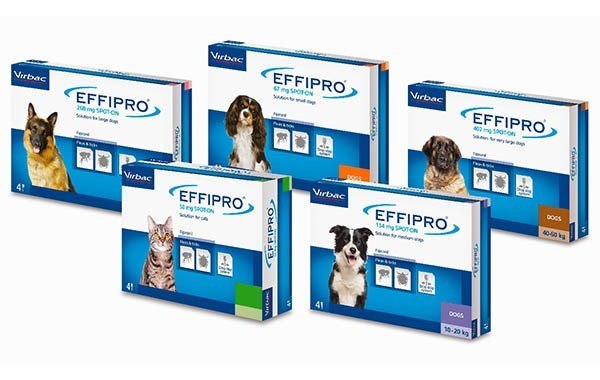 Effipro Spot On Flea Treatment for Dogs & Cats
