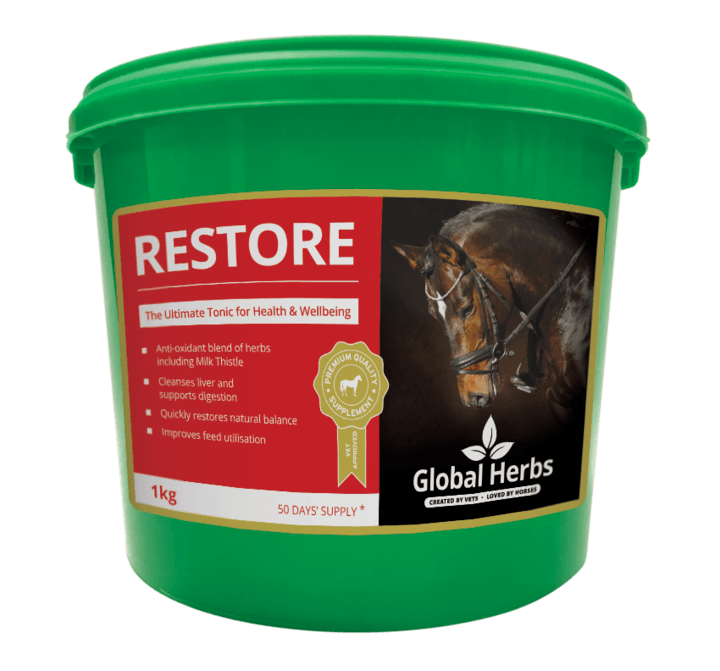 Global Herbs Restore for Horses