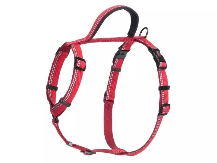 Halti Red Walking Dog Harness