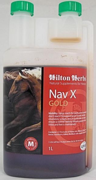 Hilton Herbs Nav X Gold for Horses