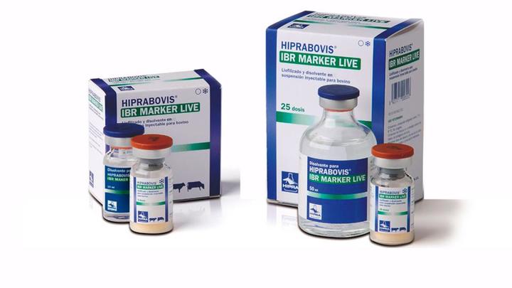 HIPRABOVIS IBR MARKER LIVE lyophilisate and solvent for suspension for injection for cattle