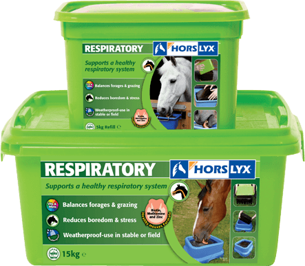 Horslyx Respiratory Lick