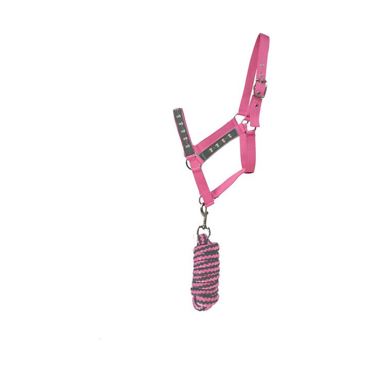 Hy Equestrian Grey & Pink Merry Go Round Head Collar and Lead Rope
