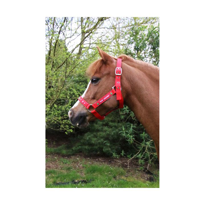 Hy Equestrian Merry Christmas Head Collar & Lead Rope for Horses Red