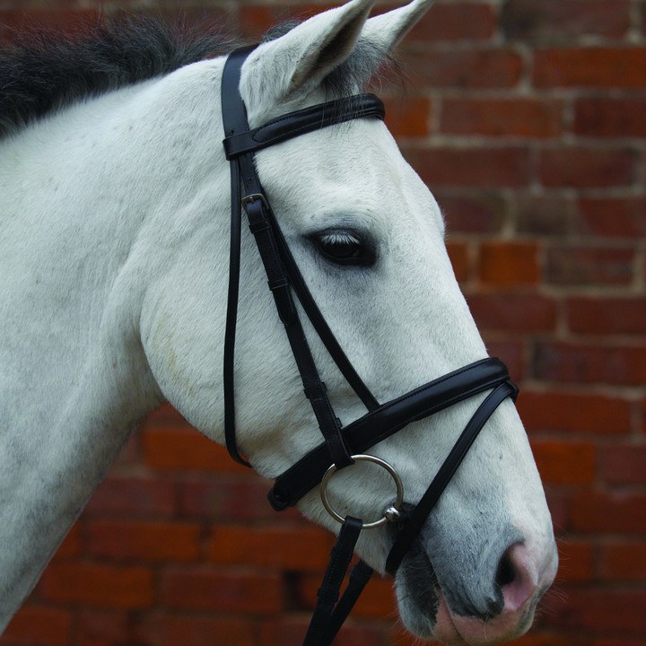 Hy Padded Flash Bridle With Rubber Grip Reins